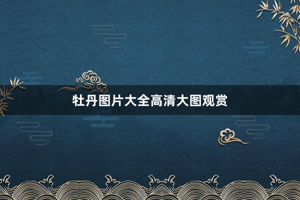 牡丹图片大全高清大图观赏