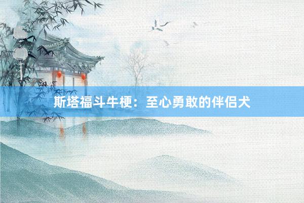 斯塔福斗牛梗：至心勇敢的伴侣犬