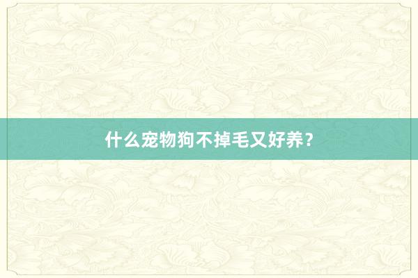 什么宠物狗不掉毛又好养？